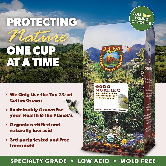 Low Acid Organic Coffee – Whole Bean, Mold-Free & Stomach Friendly by Java Planet, Good Morning Blend Coffee, Medium Roast, Smooth Full Flavored, 2x1LB Bag