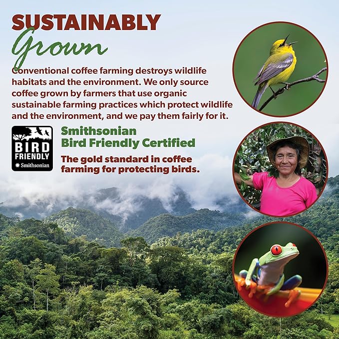 Low Acid Organic Coffee – Whole Bean, Mold-Free & Stomach Friendly by Java Planet, Guatemalan Single Origin Coffee, Medium Roast, Smooth Full Flavored, 5LB Bag